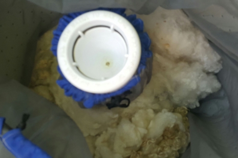 processing fiber, washing bag, mesh bag